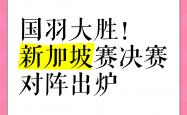 开云体育APP下载-新加坡球队险胜，勇夺晋级之门