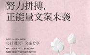 开云APP-关于雷恩获得胜利，努力拼搏取得成功的信息